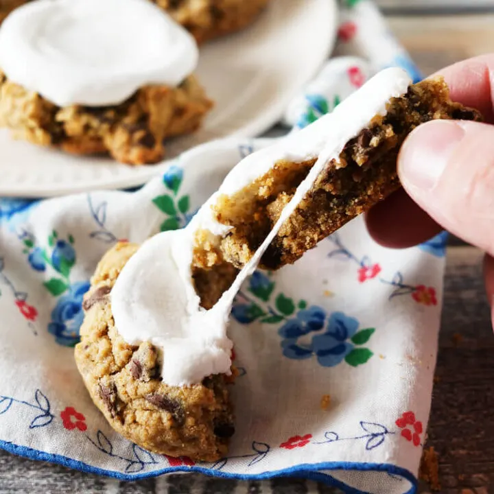 Soft and chewy s'mores cookies