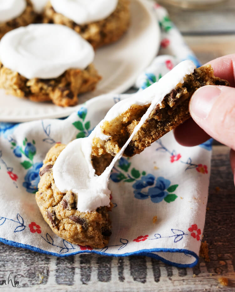 Soft and chewy s'mores cookies