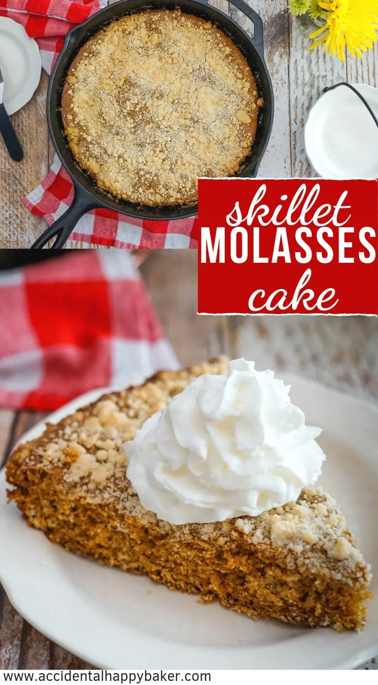 Deep and rich molasses brings the flavor in this simple Molasses Skillet Cake. #skilletcake #molassescake #molasses #easyrecipe #castironskillet