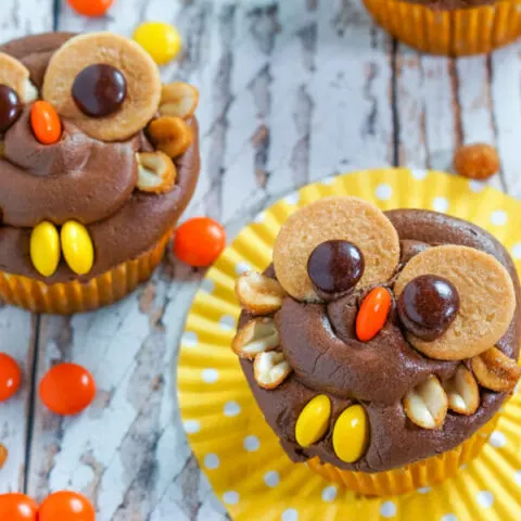 Two peanut butter chocolate owl cupcakes sit on a yellow cupcake wrappers surrounded by Reese's Pieces candy.