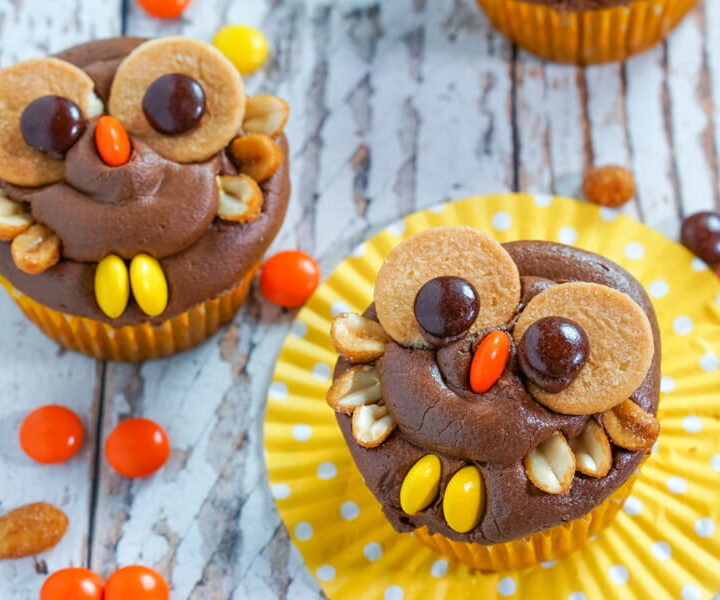 Two peanut butter chocolate owl cupcakes sit on a yellow cupcake wrappers surrounded by Reese's Pieces candy.