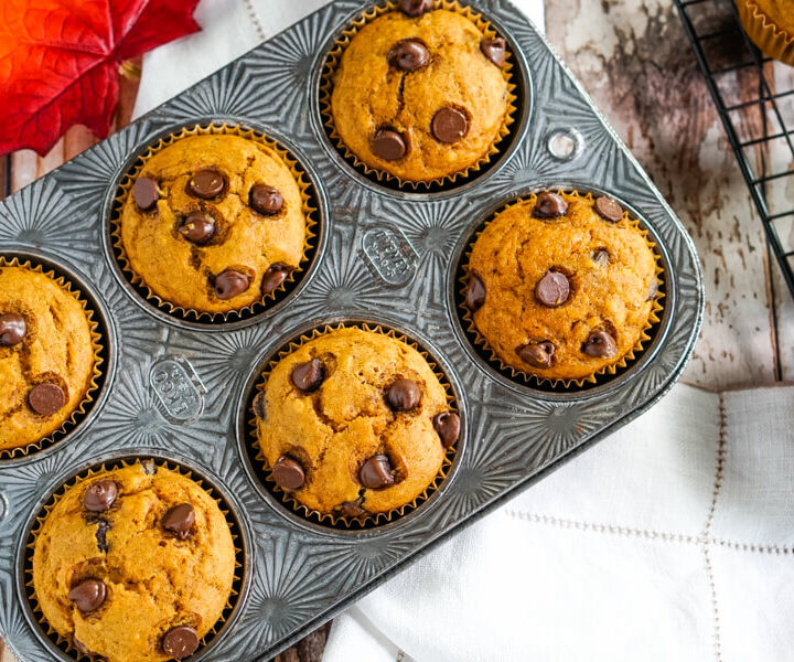 A muffin tin full of freshly baked pumpkin muffins with chocolate chips.