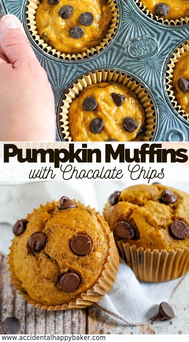 Pumpkin chocolate chip muffins are everything we love about fall. Moist, rich, and spiced pumpkin muffins liberally studded with chocolate chips throughout. #Pumpkinmuffins #chocolatechip #pumpkinchocolatechip #fallbaking #accidentalhappybaker