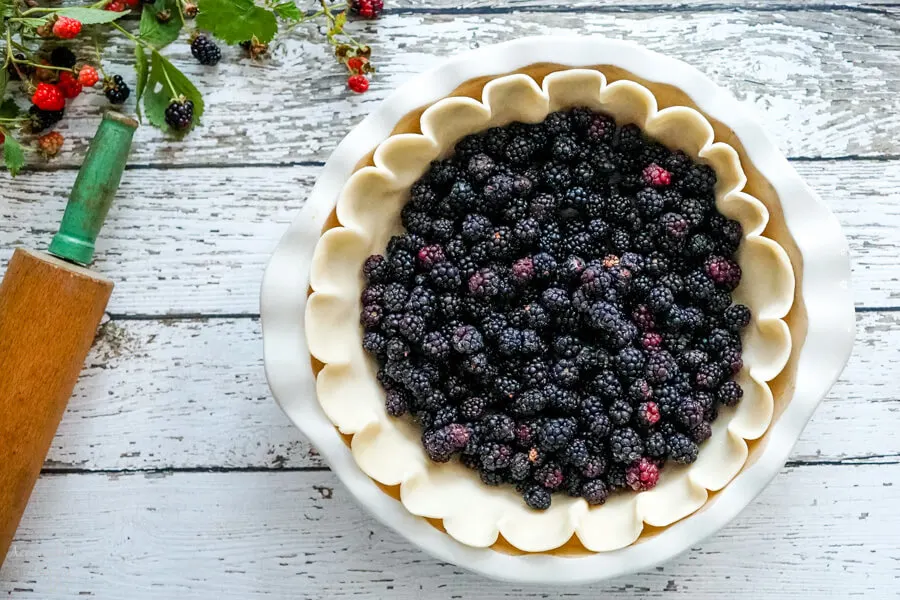 Frozen blackberries are added to the piecrust. 