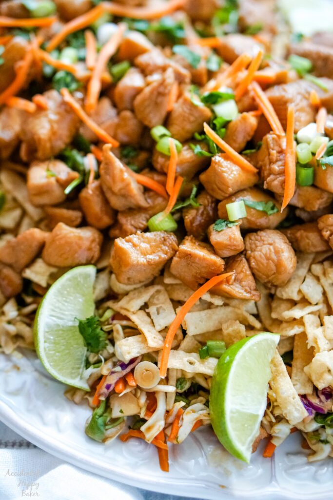 A close up image that shows the components of the finished Wonton Chicken Taco Salad.