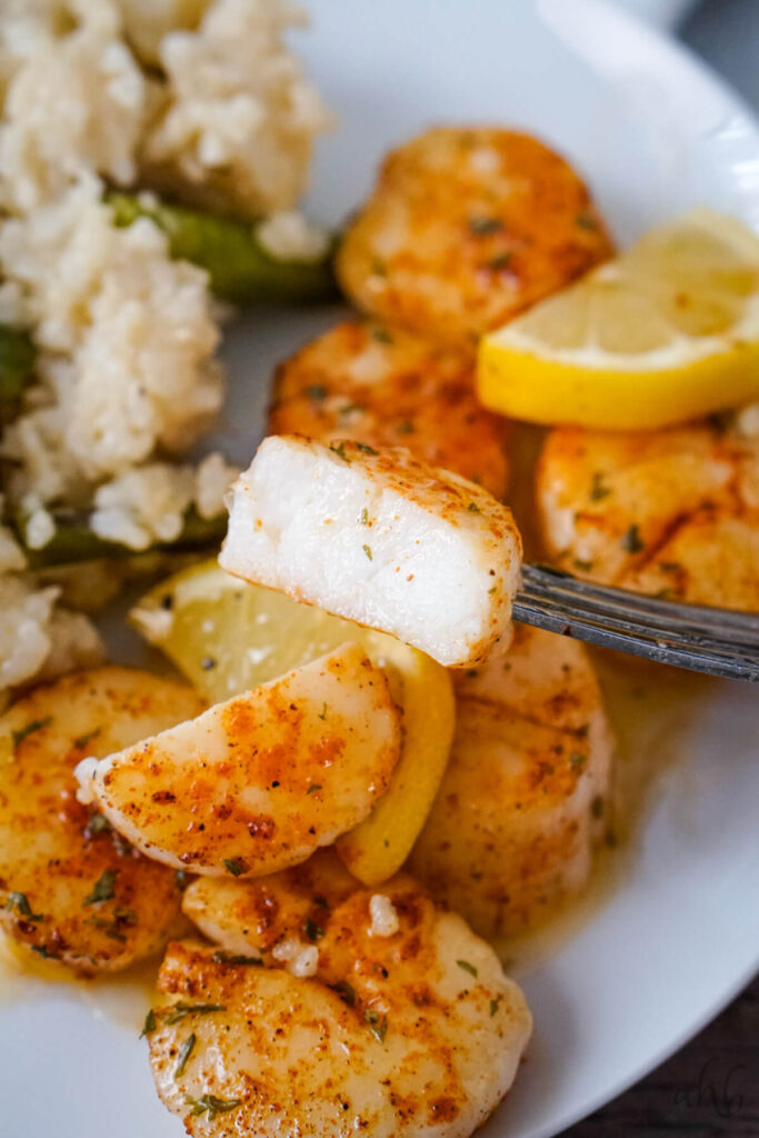 A scallop is skewered with a fork and sliced in half revealing the opaque center.